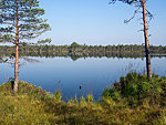 Mustjärv lake in the morning