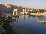 silla varemed Tigrises