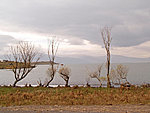 Cıldırı järv