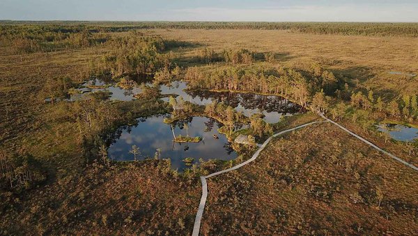 Tolkuse nature study trail | Pärnu county