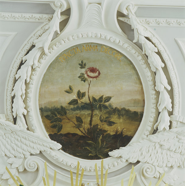 The mural painting of the rose in the Kadriorg Great Hall „Juncta arma decori“. 18 century. Photo Stanislav Stepashko