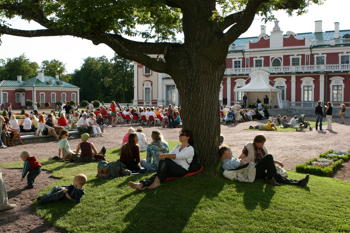 Rootsi kuninga Gustav V istutatud tamm ülemises aias. Foto Kadrioru Park
