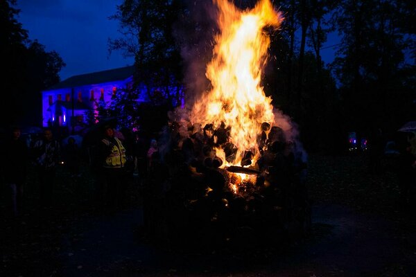 Luke mõisapark. Foto: Ruudi Pukk. 2017