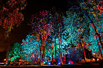 Festival grounds 2020. Photo: Ruudi Pukk