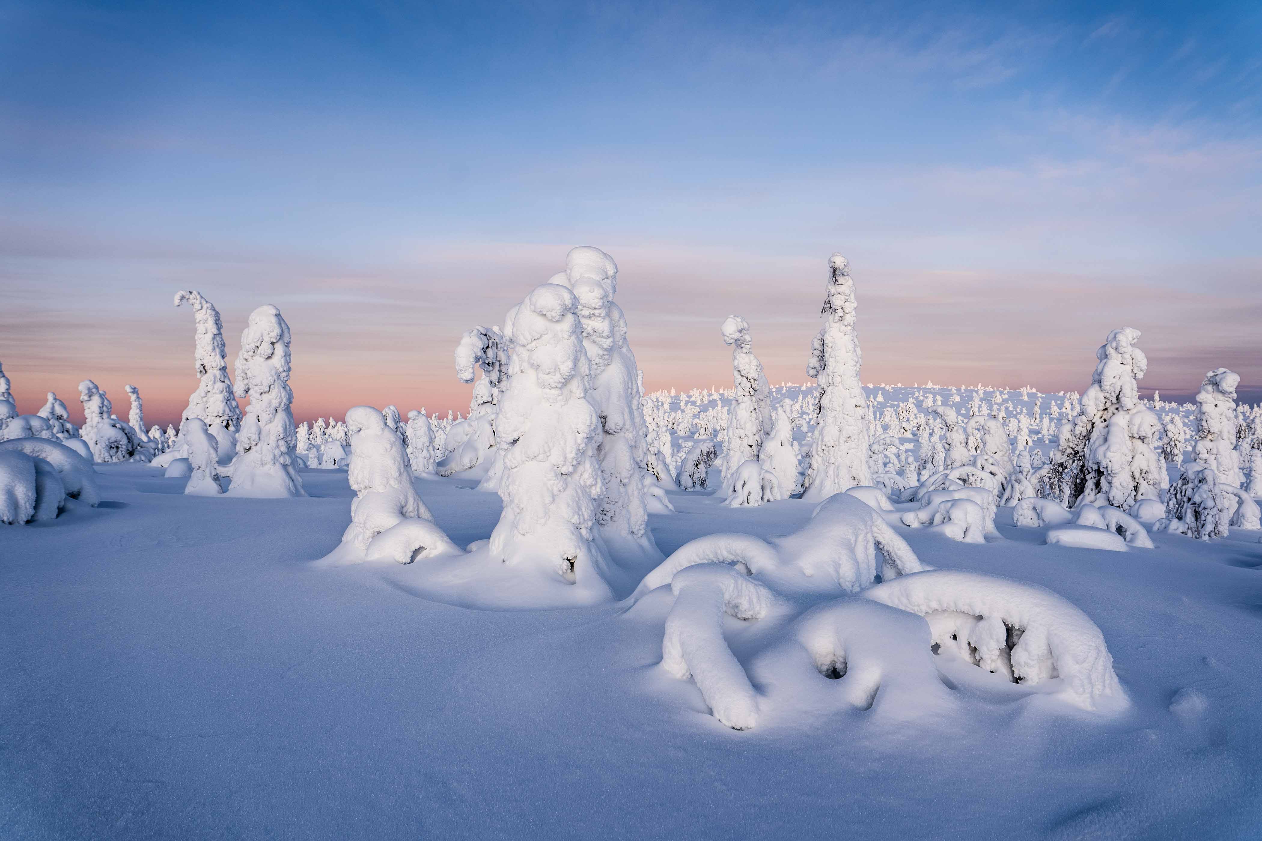 Riisitunturi photography expedition - Beyond Arctic Rovaniemi