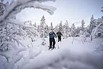 Snowshoeing in the snowy forest in Rovaniemi Lapland Finland