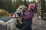 Husky love in Rovaniemi Lapland Finland