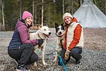 Meeting the huskies in Rovaniemi Lapland Finland