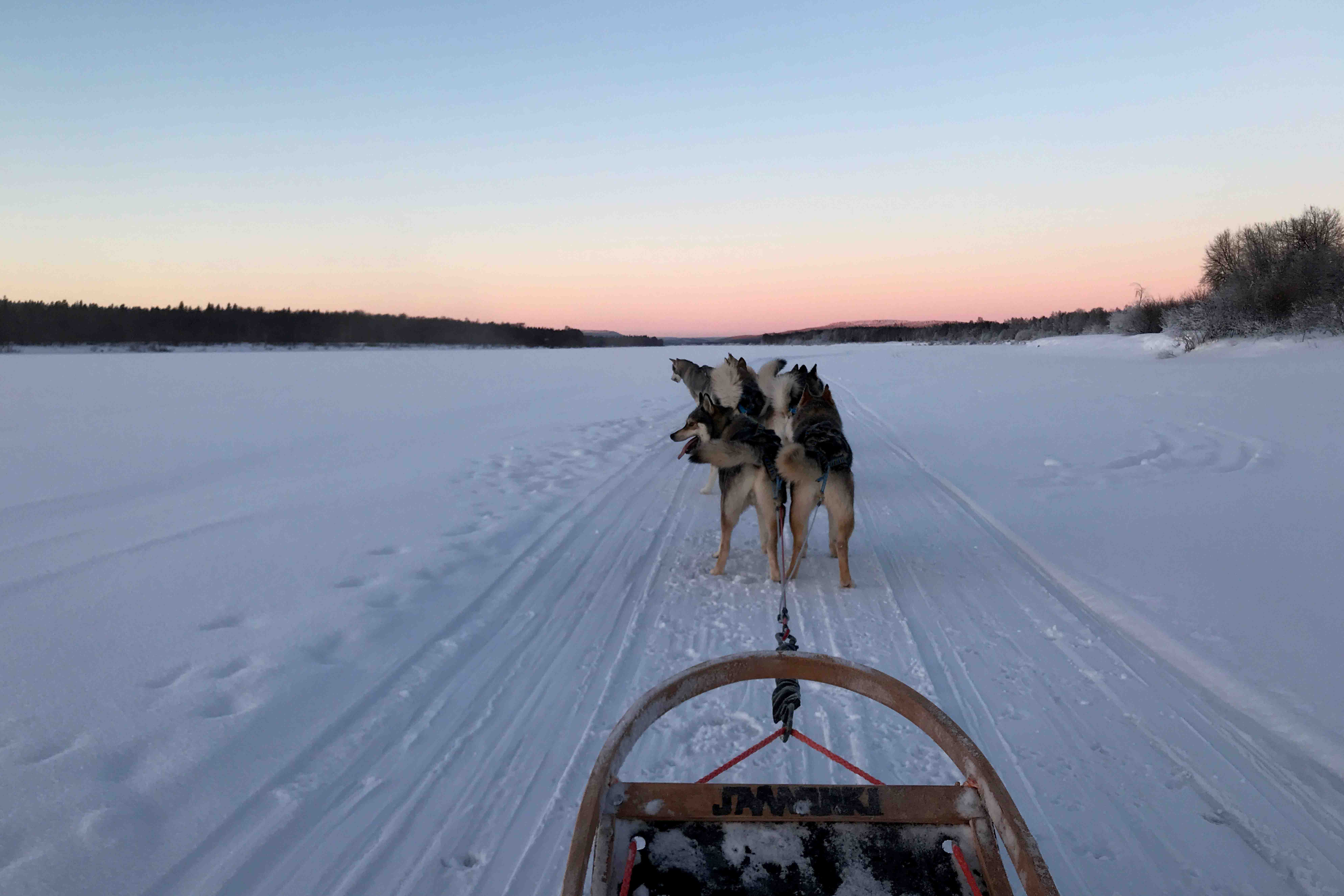 Husky sled ride adventure - Beyond Arctic Rovaniemi