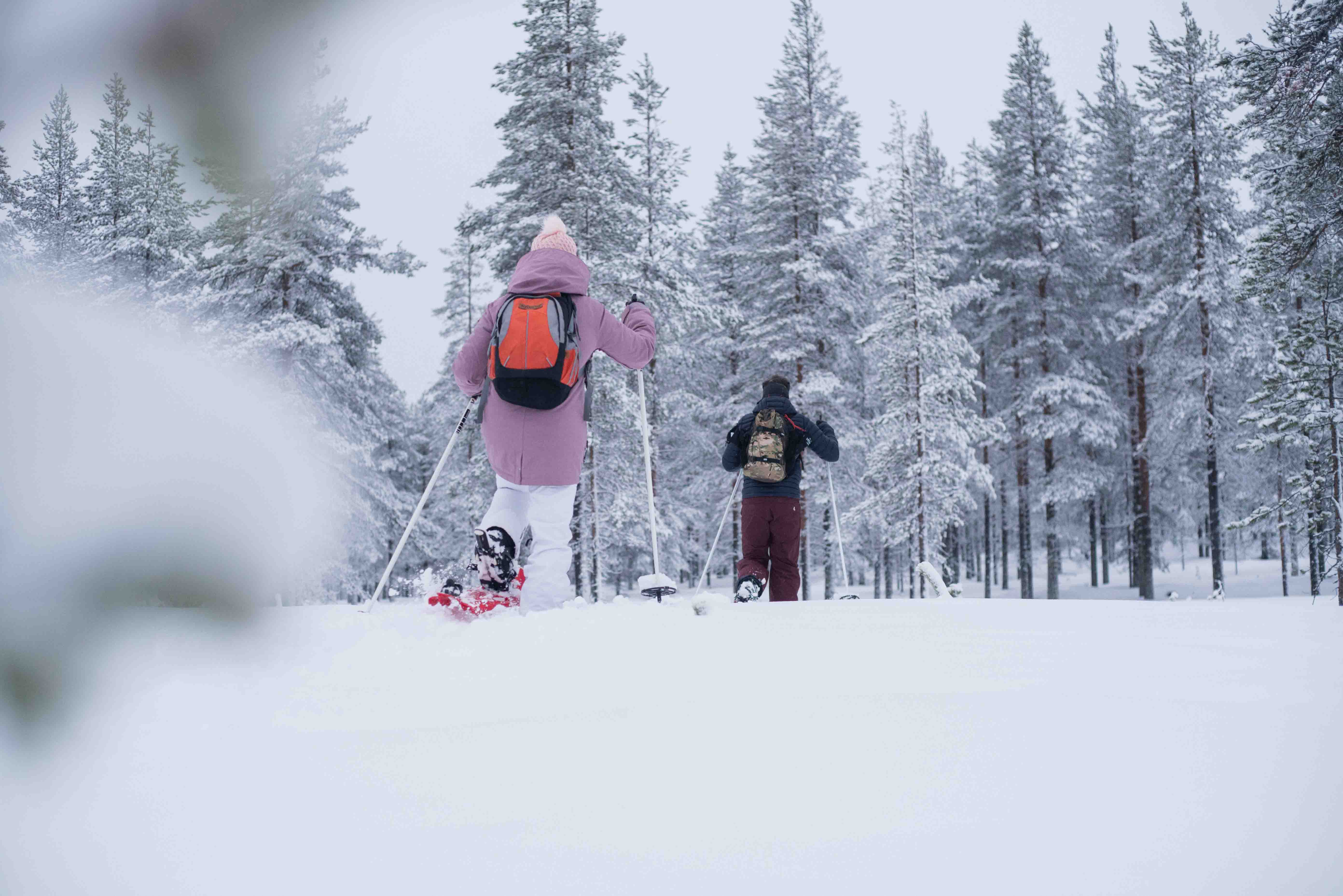 Wilderness snowshoe adventure Beyond Arctic Rovaniemi