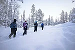 Winter hiking tour in Rovaniemi Lapland Finland