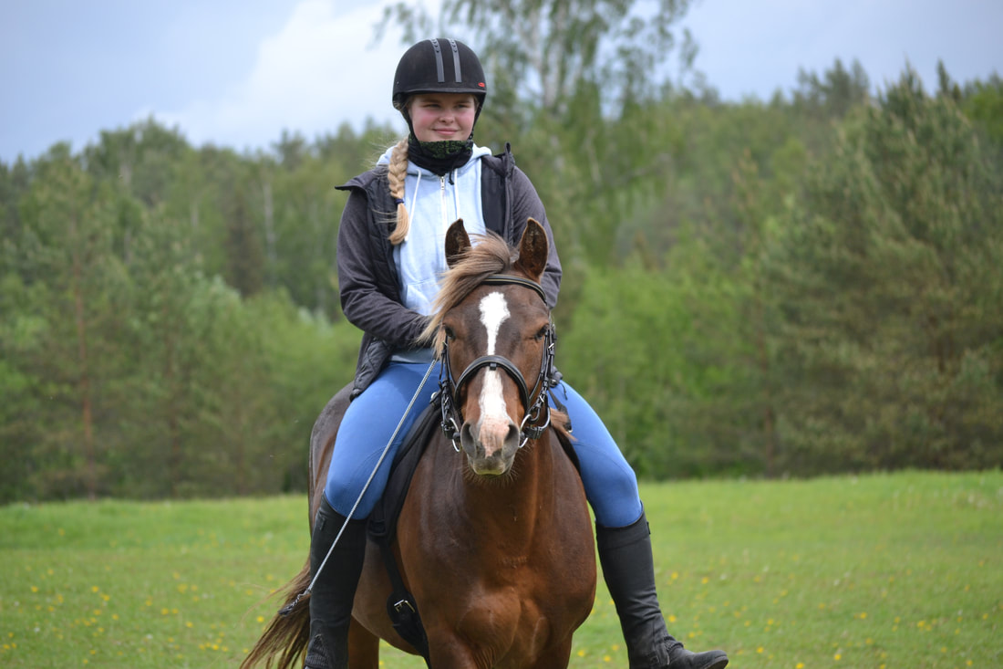 Rebane Eestinhevoset – Rebane - 2014
