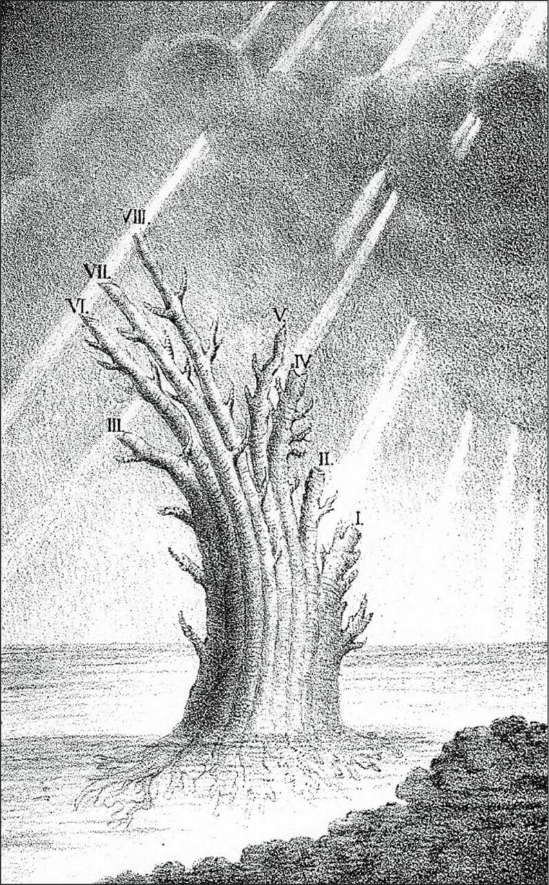 Eichwaldi kujutatud Arbor vitae animalis ehk loomade elupuu. Allikas: Eichwald, 1829