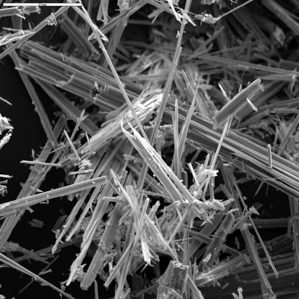 Asbest. Foto tehtud skaneeriva elektronmikroskoobiga (Foto: Wikipedia)