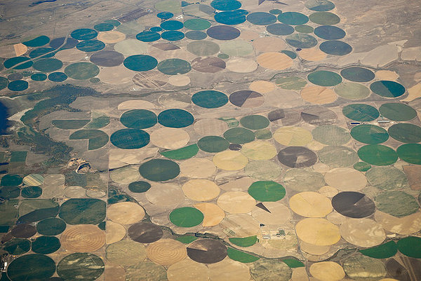 Kunstliku niisutamise tõttu tekkinud vihmutiringid põllul, Texsases