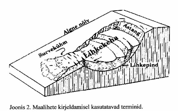 Väljavõte TÜ geoloogia instituudi 2002. aasta aruandest "Maalihked Pärnu maakonnas"