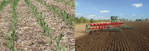 Images: The left image shows an example of no-till farming, the right image is an example of conventional tillage. Left image source: https://www.no-tillfarmer.com/articles/530-vertical-tillage-a-gateway-tool-to-or-away-from-conservation. Right image source: https://www.kverneland.co.nz/news/ploughing-benefits-most-soils