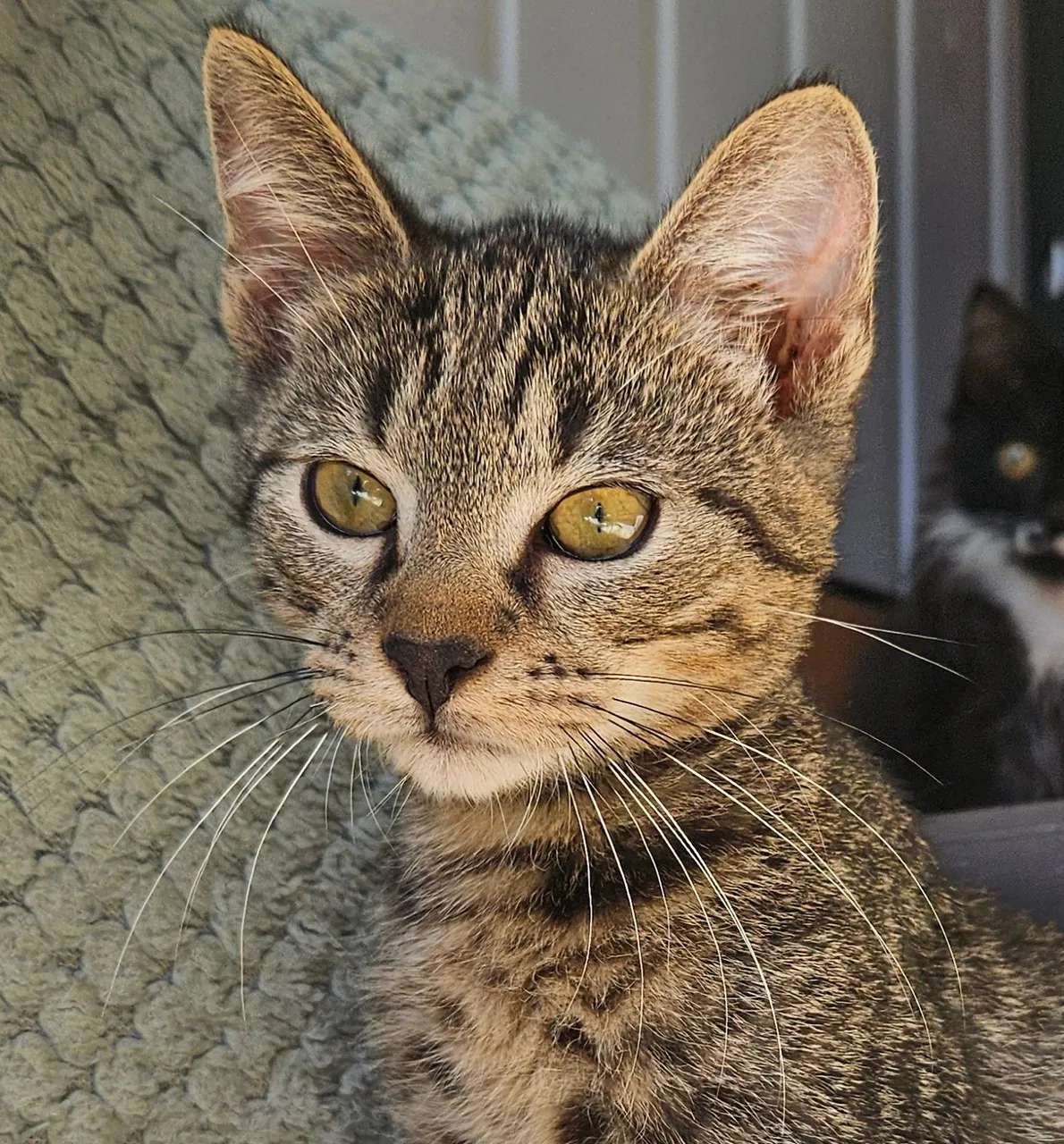 Kira