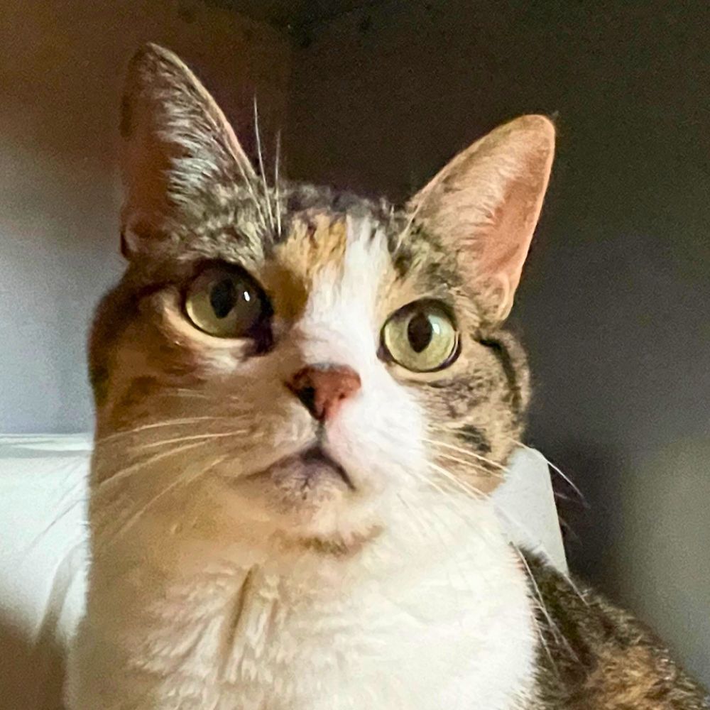 Nurri