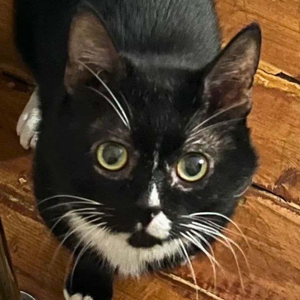 Walter