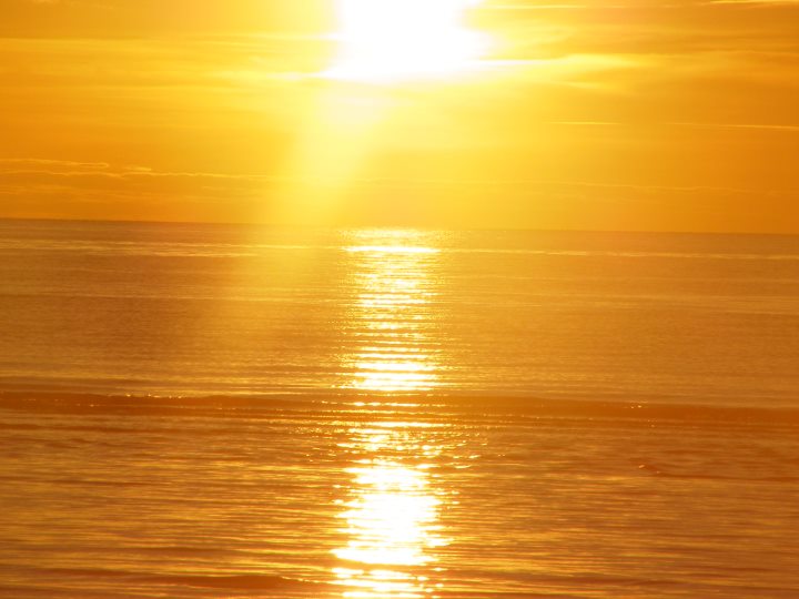 Treimani puhkemajad - Photo 3