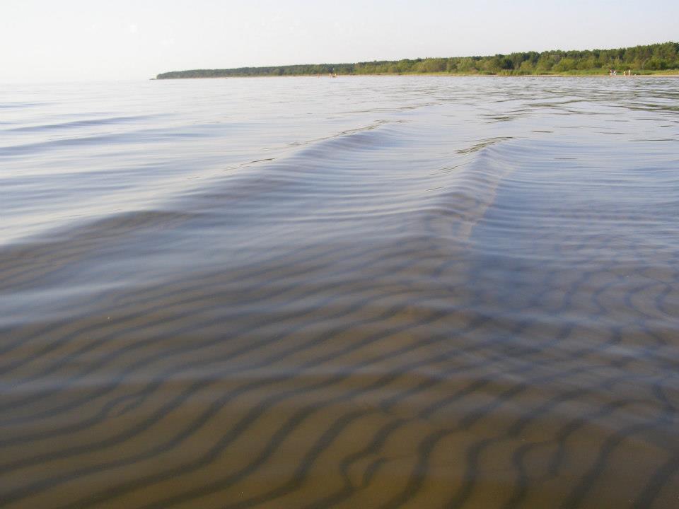 Treimani puhkemajad - Photo 2