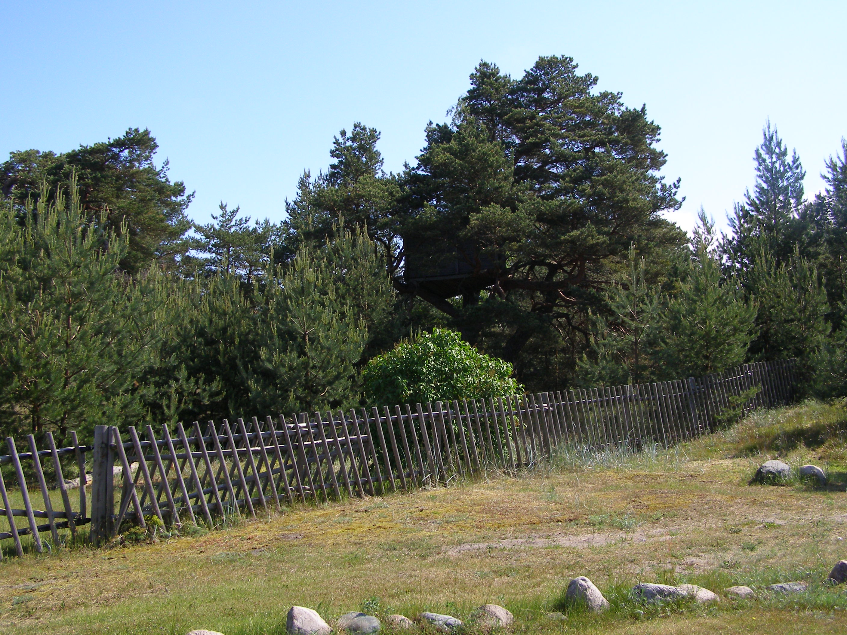 Treimani puhkemajad - Main photo