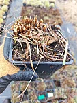 Müügitaim aprillis