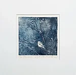 Hämaruses, söövitus, 23x23cm, 65€