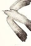 Img 2217 1