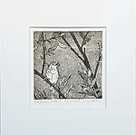 Kõrkja-roolind, söövitus, 23x23cm, 65€