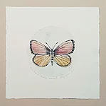 Kevad-sinitiib, kuivnõel, 29x29cm, 90€