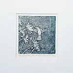Koolibri, söövitus, 23x23cm, 65€