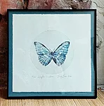 Morpho menelaus, kuivnõel, 28x28cm, 110€