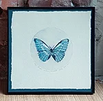 Morpho menelaus, kuivnõel, 28x28cm, 110€