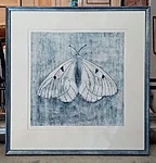 Parnassius mnemosyne, kuivnõel, 60x62cm, 450€