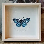 Nõgeseliblikas, kuivnõel, 27x27cm, 95€