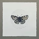 Nõgeseliblikas, kuivnõel, 29x29cm, 90€
