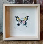 Pääsusaba, kuivnõel, 27x27cm, 95€