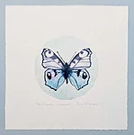 Päevapaabusilm, kuivnõel, 30x30cm, 90€