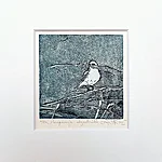 Pesapunuja, söövitus, 23x23cm, 65€