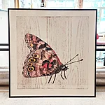 Ohakaliblikas/ vanessa cardui I, mokulito, 51x51cm, 400€