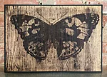 Ohakaliblikas/ vanessa cardui II (ainueksemplar), 62x43cm, 500€