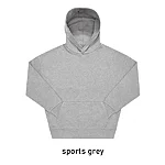INFLUENCE HOODIE oversized kapuutsiga pusa: säbruline hall