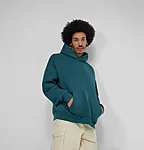 INFLUENCE HOODIE oversized kapuutsiga pusa