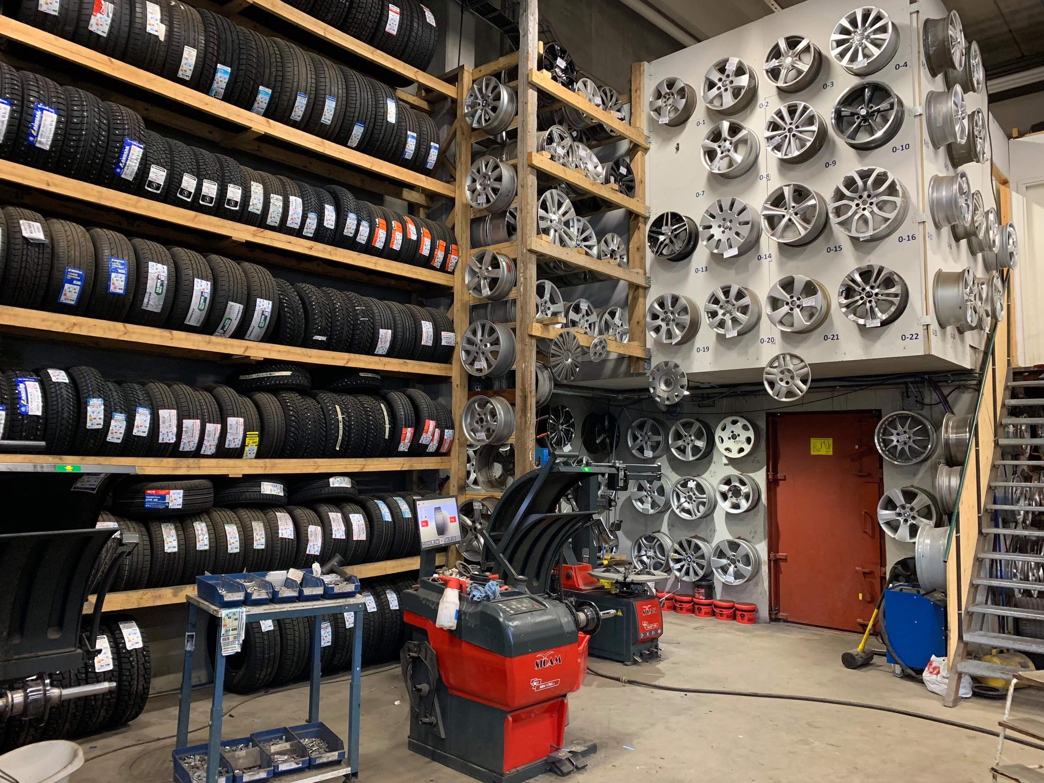 Yhteystiedot Rengaskirppis