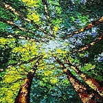 &quot;Sky Landscape. Lindens&quot;. 2025. Oil on canvas. 60x60 cm. Private collection 