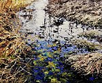 &quot;Swamp Landscape&quot;. 2019. Oil on canvas. 26&#x27;&#x27; 32&#x27;&#x27;. Private collection