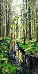 “Forest. Water Surface&quot;. 2022. Oil on canvas. 150x80 cm. Private collection 