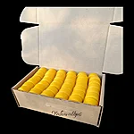 Photoroom 20241104 135813 (1)